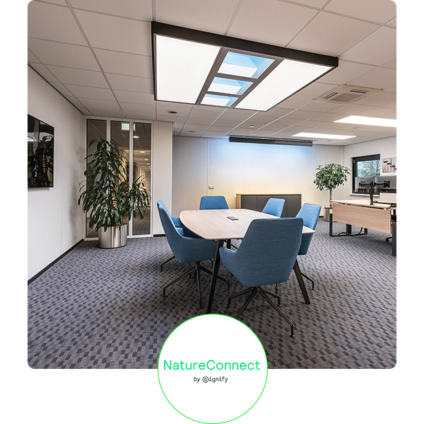 NatureConnect NatureConnect biophilic lighting solution for hospitality environments