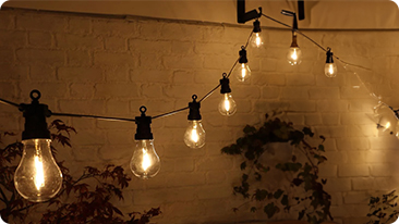 Festoon lights