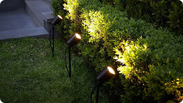 spike and stake lights