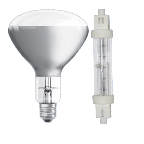 Catering Lamps