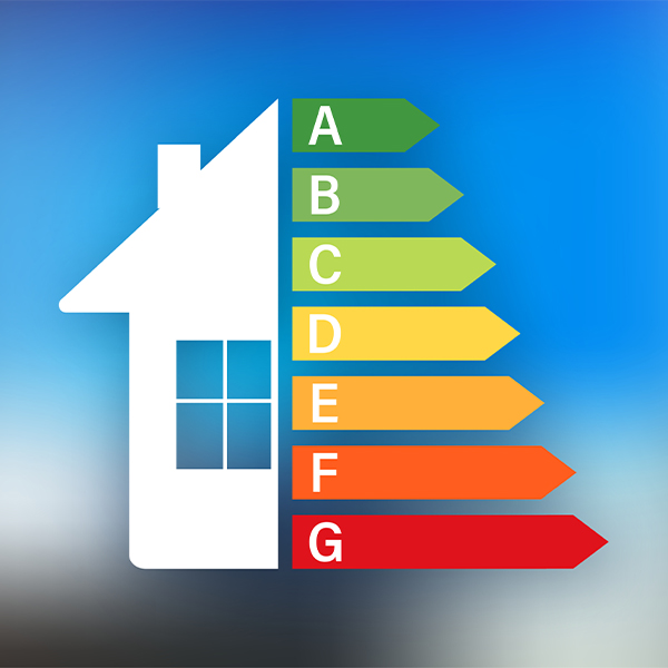 Energy Efficiency