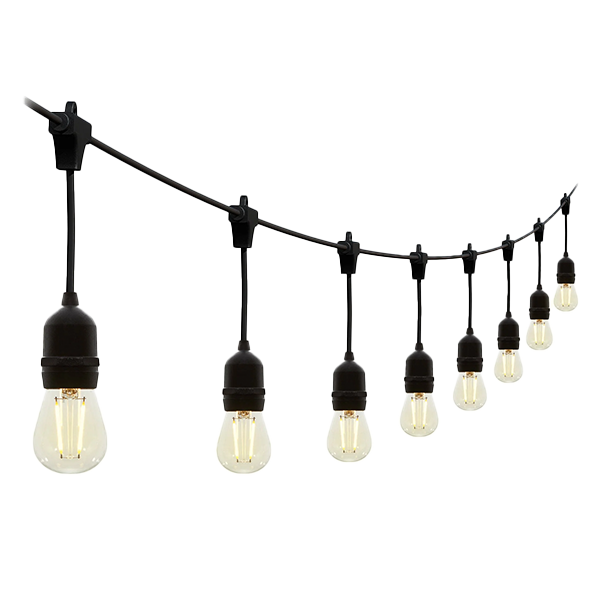 Festoon Lighting