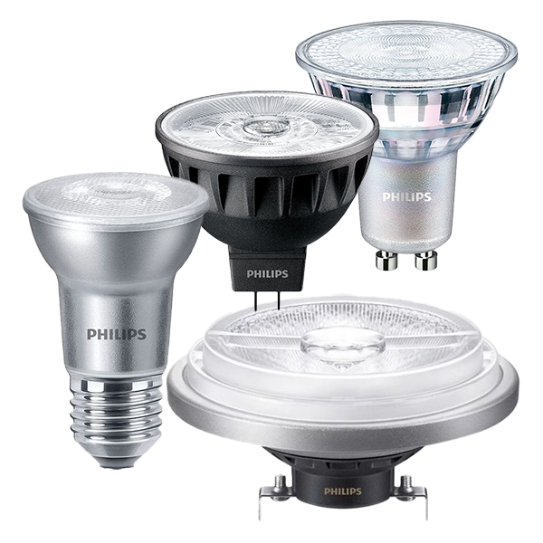 LED Spot Light Bulbs