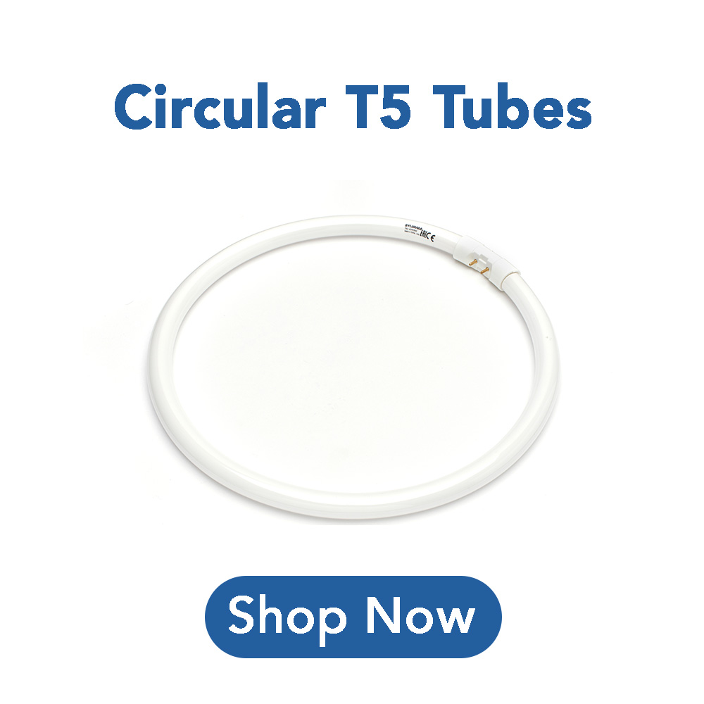 T5 Circular Fluorescent Tubes
