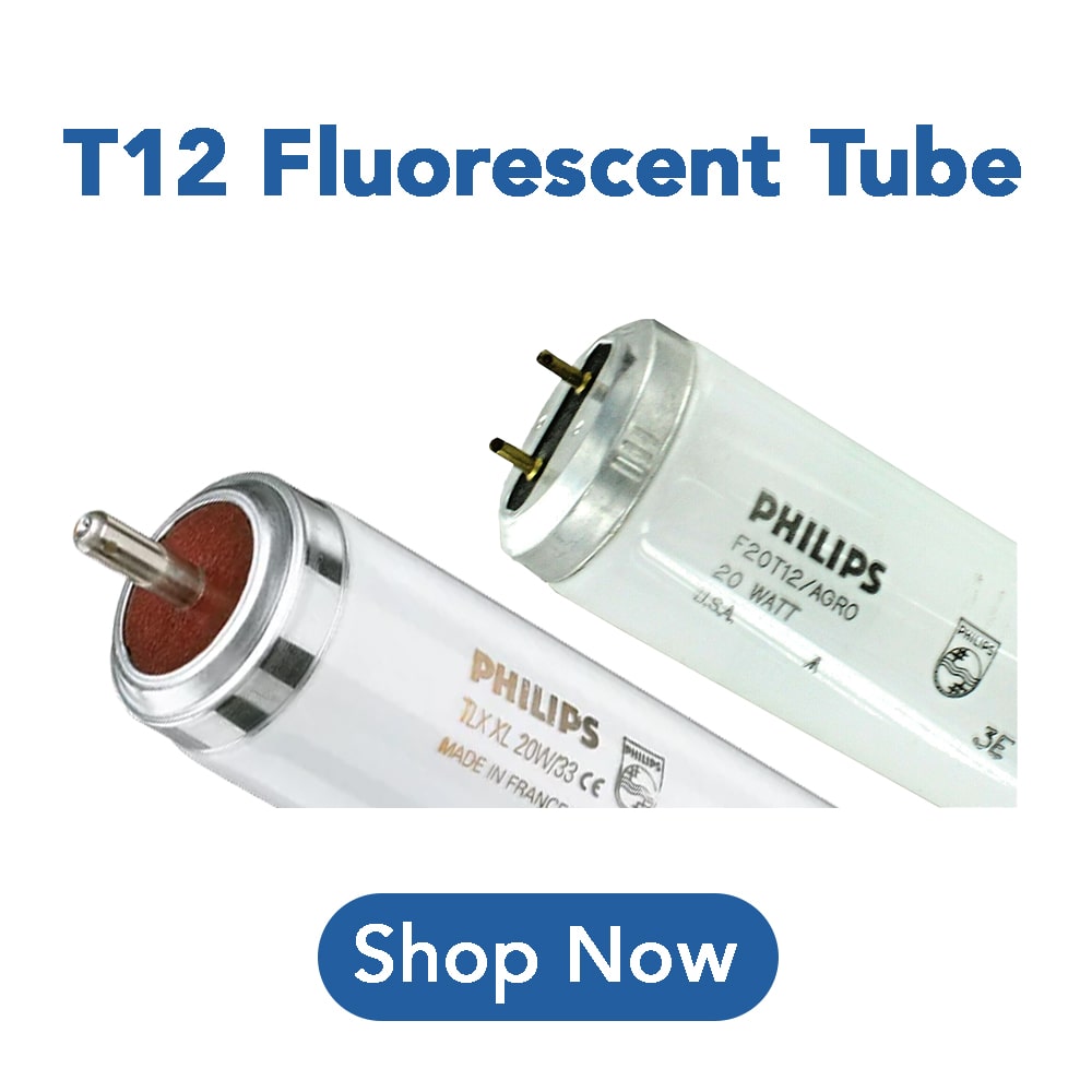 Fluorescent T12 Tubes