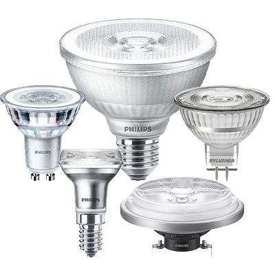 LED Spot Light Bulbs