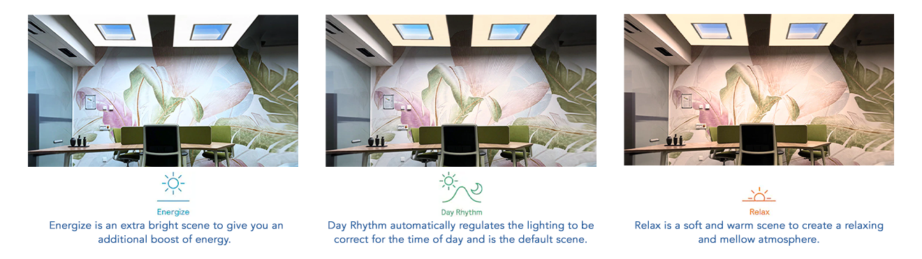 Nature Connect Light Scenes