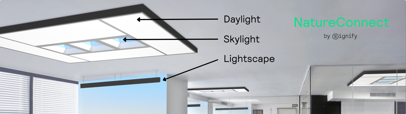 nature connect luminaires