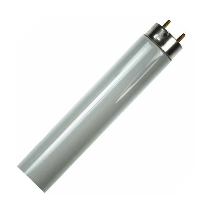 25Watt 18Inch 18" T8 Fly Killer Tube 05