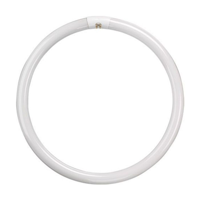 40W T9 CIRCULAR TUBE COL 84 COOL WHITE