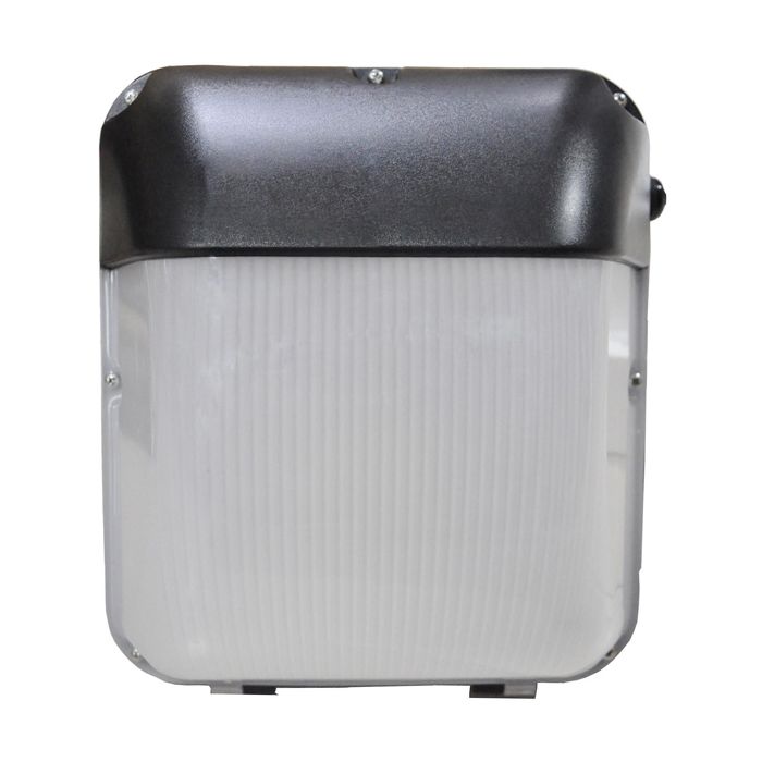 Bell Lighting 30W Skyline Pro Wallpack (Deep)