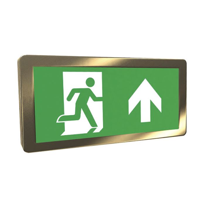 BELL Lighting 09055 Antique Brass Bezel Accessory for Spectrum Emergency Exit Box