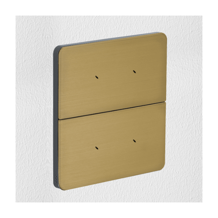 Philips Antumbra 4 Button Interface Gold Fascia & Magnesium Rim Custom Labels 