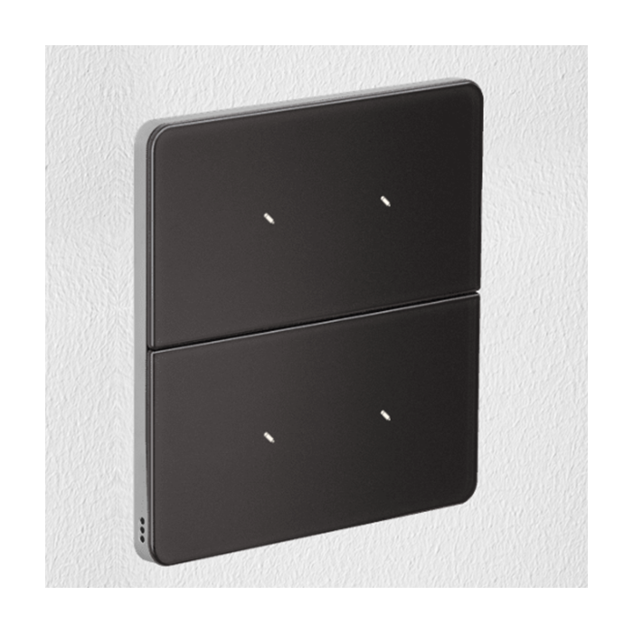 Philips Antumbra 4 Button Interface Magnesium Fascia & Aluminium Rim Custom Labels