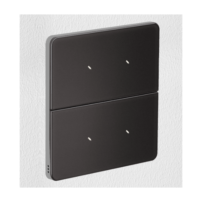 Philips Antumbra 4 Button Interface Magnesium Fascia & Chrome Rim Custom Labels