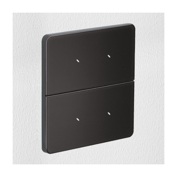 Philips Antumbra 4 Button Interface Magnesium Fascia & Magnesium Rim Custom Labels