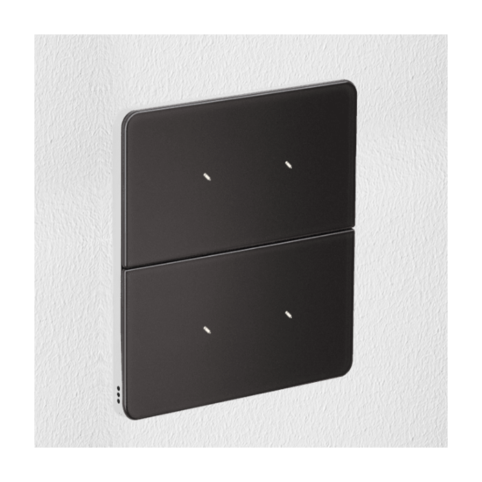 Philips Antumbra 4 Button Interface Magnesium Fascia & White Rim Custom Labels