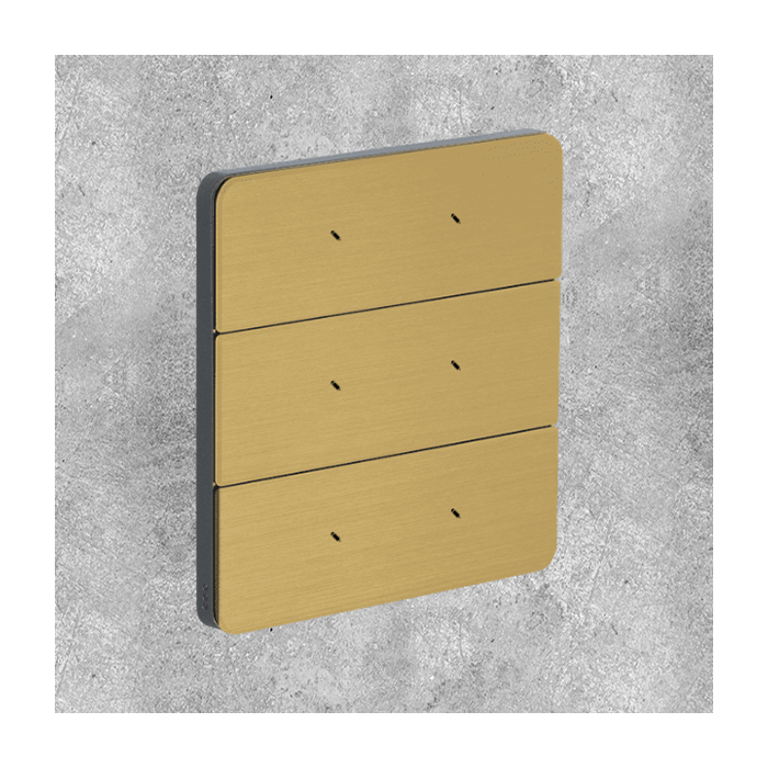 Philips Antumbra 6 Button Interface Gold Fascia & Magnesium Rim Custom Labels