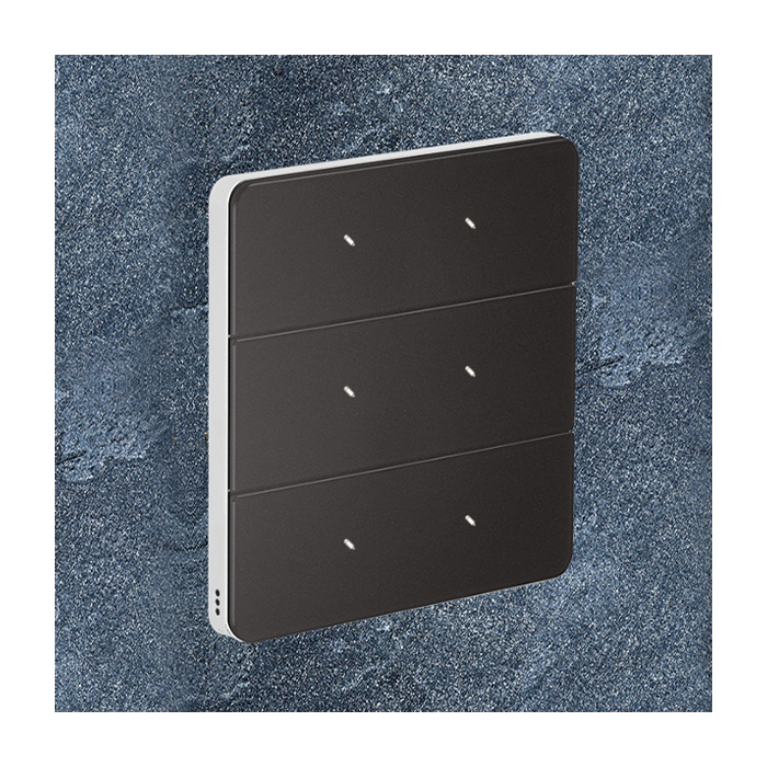 Philips Antumbra 6 Button Interface Magnesium Fascia & White Rim Custom Labels