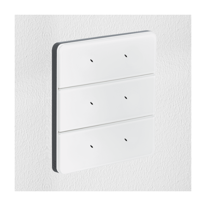 Philips Antumbra 6 Button Interface White Fascia & Magnesium Rim Custom Labels