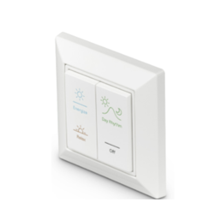 Philips NatureConnect Wireless Switch
