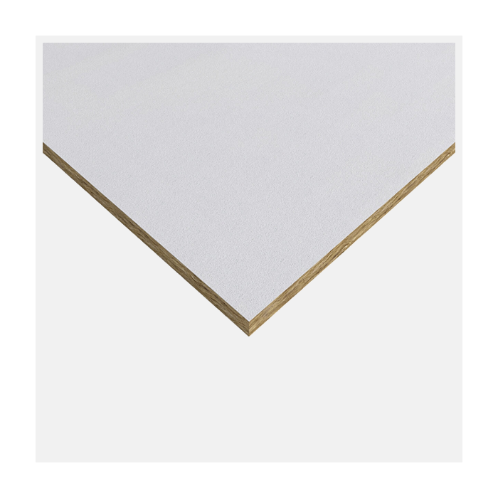 Rockfon Blanka Ceiling Tiles