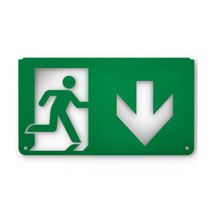 Signify Ecolink Emergency Blade Exit Down Sign