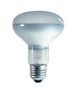 75W ES R80 Spot Professional