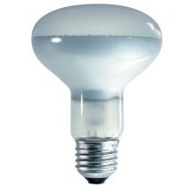 100W ES R80 Spot Professional