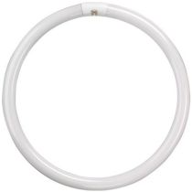 22W T9 CIRCULAR TUBE COL 84 COOL WHITE