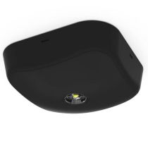 Ansell IP65 Falcon LED Surface Emergency Downlight 3W Non-Maintained Black