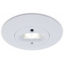 Ansell Merlin LED Emergency Downlight 5W Non-maintained White - Open Area