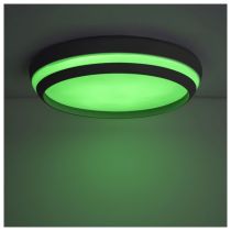 LUTEC Cepa Smart Colour Changing Surface Mounted Decorative Ceiling Light - Matt Black