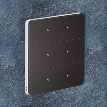 Philips Antumbra 6 Button Interface Magnesium Fascia & White Rim Custom Labels
