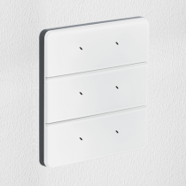 Philips Dynalite PA6BPE-WM-L Antumbra 6 Button Interface White Fascia/Magnesium Rim Custom Labels