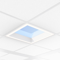 Philips NatureConnect LP913P 600 X 600 Skylight