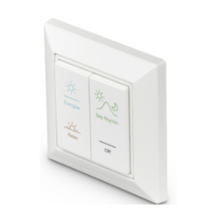 Philips NatureConnect Wireless Switch