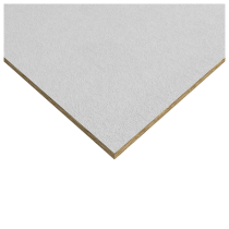 Rockfon Artic Ceiling Tiles