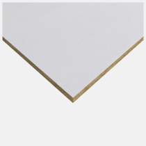 Rockfon Blanka Ceiling Tiles