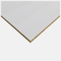 Rockfon Medicare Plus Wipeable Ceiling Tiles