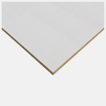 Rockfon Medicare Wipeable Ceiling Tiles