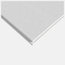 Rockfon Tropic-Alaska Ceiling Tiles