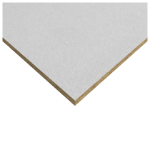 Rockfon Tropic-Alaska Ceiling Tiles