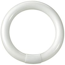 22w T9 216mm Circular Fluorescent Tube Dimmable Box of 10