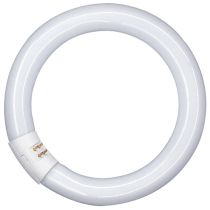 40w T9 406mm Circular Fluorescent Tube Dimmable Box of 10