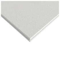 Zentia Arena Ceiling Tiles