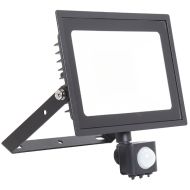 Ansell Eden LED Floodlight 10w Cool White - PIR
