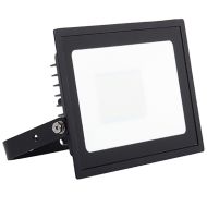 Ansell Eden LED Floodlight 30w Cool White