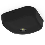 Ansell IP65 Falcon LED Surface Emergency Downlight 3W Non-Maintained Black