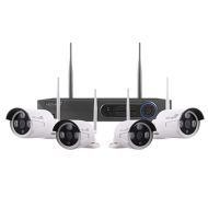 ESP 4 Channel HD 500GB DVR & 4 Bullet Cameras 